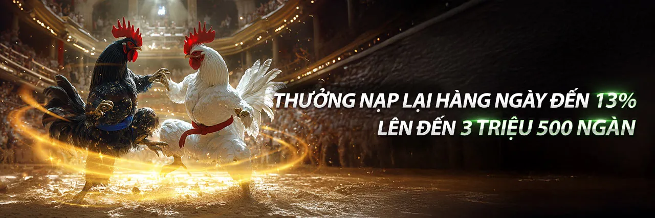Hình ảnh chính về chiến lược cá cược thể thao tại WW88